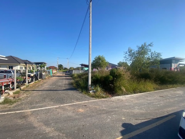 ขายที่ดิน ขายยกที่ดิน 2 แปลงติด ต.หนามแดง อ.เมือง จ.ฉะเชิงเทรา เนื้อที่รวม 3-1-72.2 ไร่ โทร 096-0124534