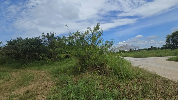 ขายที่ดิน บ้านบึง ชลบุรี 5 ไร่ 1 งาน 46 ตร.ว. ทำเลดี เหมาะลงทุน โทร 098-4282935