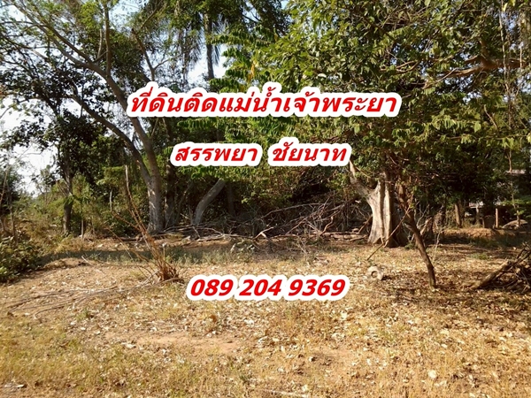 ขายที่ดิน ติดแม่น้ำ ราคาถูก ต.บางหลวง อ.สรรพยา จ.ชัยนาท พื้นที่ 1-3-74.8 ไร่ 0892049369คุณนก