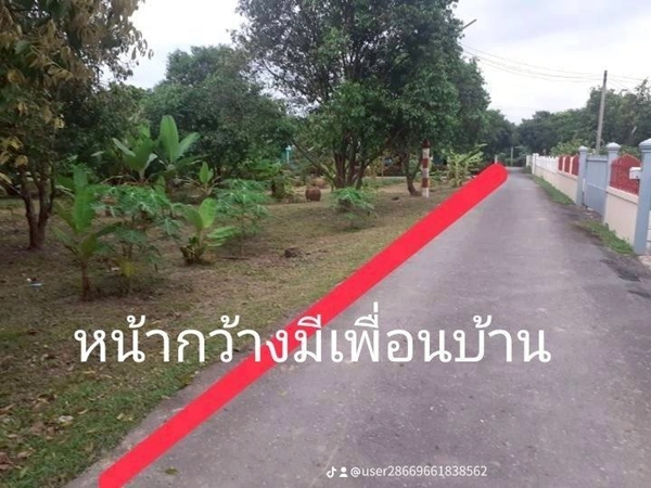 L876aขายที่ดินพร้อมสวนผลไม้ 290 ตรว ดงละคร นครนายก ใกล้กรุงเทพฯราคาขาย 1.75 ล้านบาท
