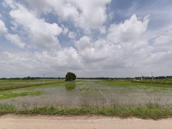 ขายที่ดิน ขายที่ดิน ที่นา พิษณุโลก อำเภอวังทอง 19 ไร่ สวยมาก วิวนาสวย อากาศดี เงียบสงบ โทร 063-2825635