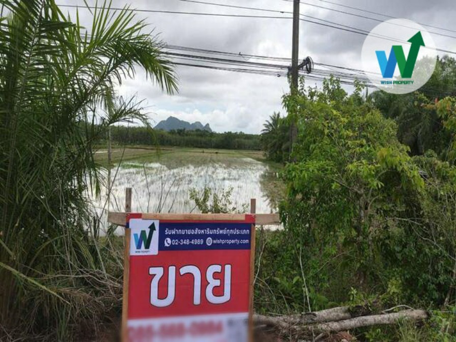 ขายที่ดินเปล่า ตำบลมะกอกเหนือ อำเภอควนขนุน จังหวัดพัทลุง