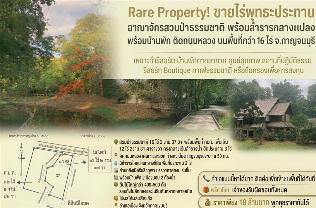 Rare Property! สวนป่าธรรมชาติ พร้อมลำธารกลางแปลง ต้นไม้ใหญ่ทั้งสวน 