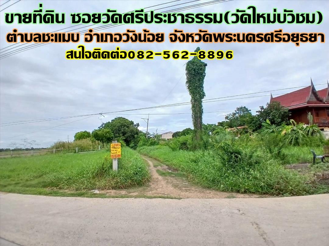 ขายที่ดิน ซอยวัดศรีประชาธรรม(วัดใหม่บัวชม) วังน้อย