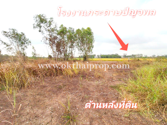 ที่ดิน 267 ตร.วา ถนน3111 อ.บางไทร จ.พระนครศรีอยุธยา