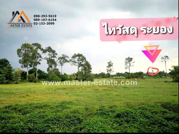 8-2-50 ไร่ ใกล้ IRPC ระยอง