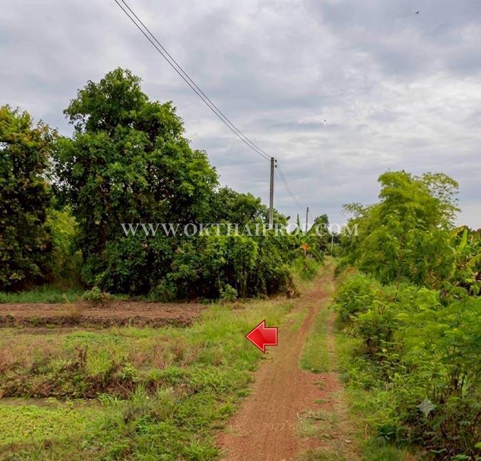 ที่ดินจัดสรร 5 แปลง แบ่งขาย ใกล้สำนักงานสาธารณสุขจังหวัดลำพูน 