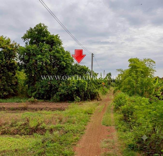 ที่ดินจัดสรรแปลงสวย “แปลงมุมติดถนน 2 ด้าน” ใกล้สำนักงานสาธารณสุขจังหวัดลำพูน 