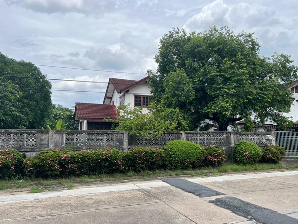 ขายที่ดินหายาก ครึ่งไร่กว่า เหมาะสร้างบ้าน ซอยติดมหาวิทยาลัยเกษตรศาสตร์บางเขน
