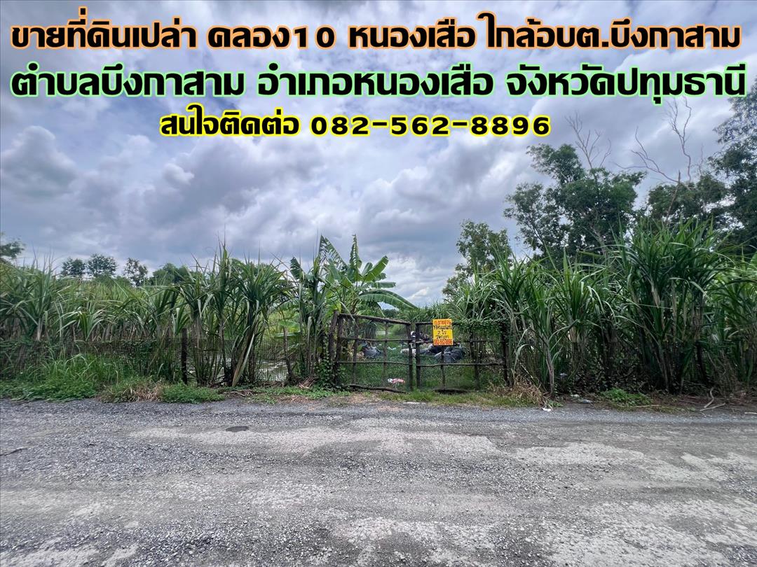 ขายที่ดินเปล่า คลอง10 หนองเสือ ใกล้อบต.บึงกาสาม