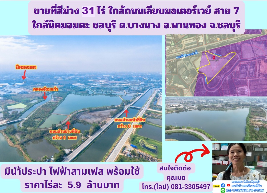 ขายที่สีม่วง  31  ไร่ ใกล้ถนนเลียบมอเตอร์เวย์ สาย 7 ใกล้นิคมอมตะ ชลบุรี  ต.บางนาง อ.พานทอง จ.ชลบุรี