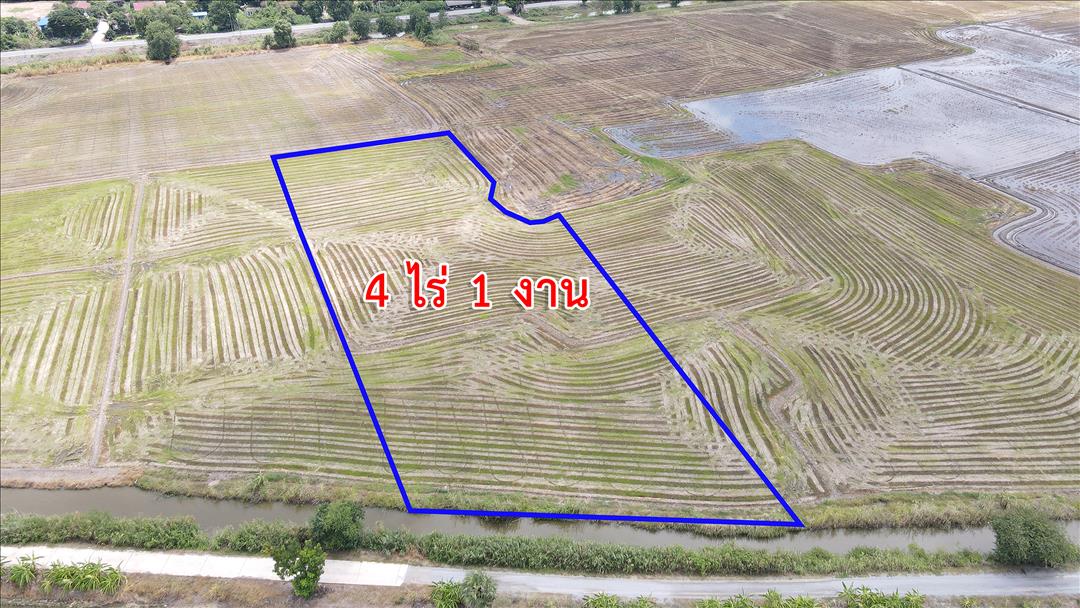 ขายที่ดินเปล่า ที่นา ติดถนน บางไทร อยุธยา