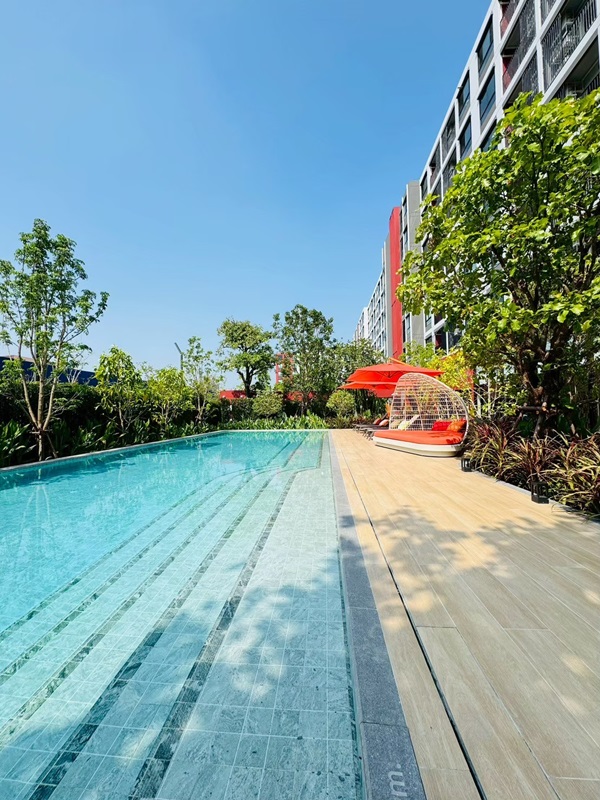 ขายคอนโด ใหม่ dcondo Vivid Rangsit ตรงข้าม ม.กรุงเทพ ข้ามสะพานลอยก็ถึงมหาลัย พร้อมอยู่ 
