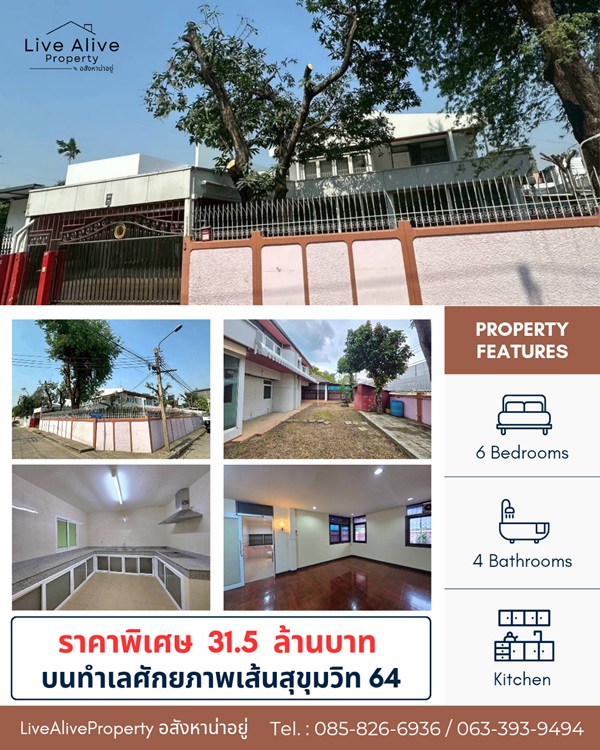 สินทรัพย์ศักยภาพสูง ทำเลทองสุขุมวิท ขายด่วน ! บ้านพร้อมที่ดินแปลงสวย ทำเลทองสุขุมวิท 64 แปลงหัวมุม